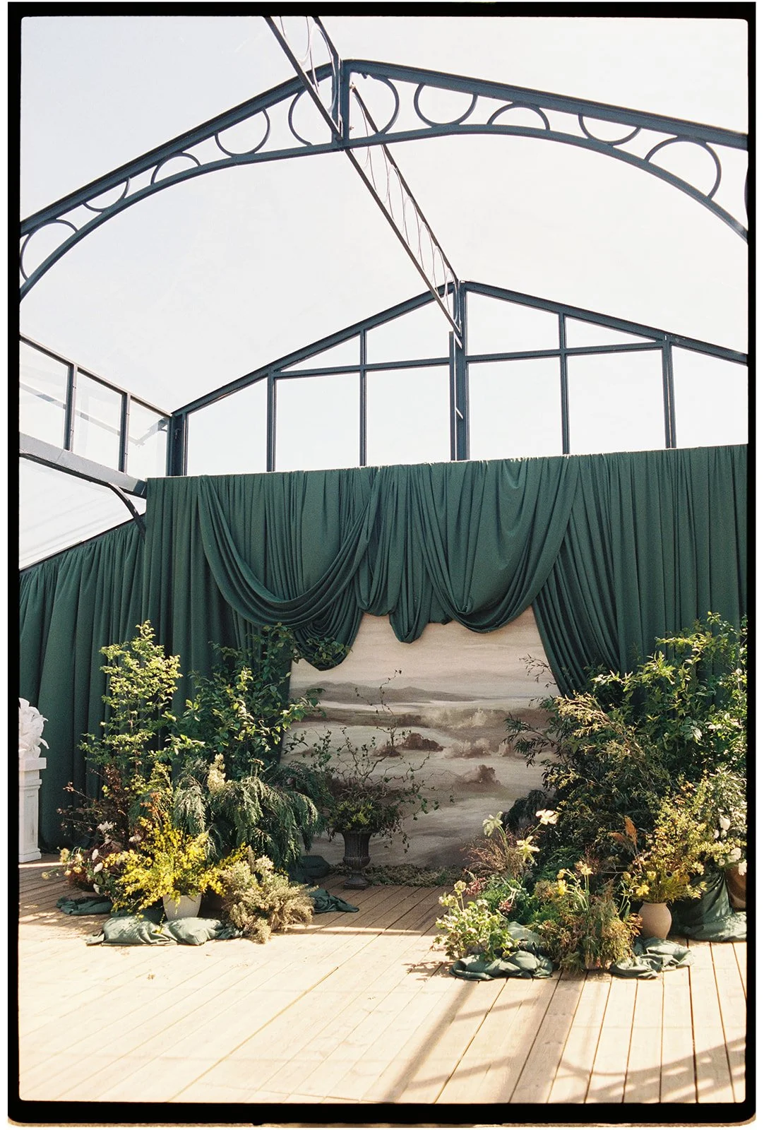 00014_MINERVA_VINES_FILM.jpg