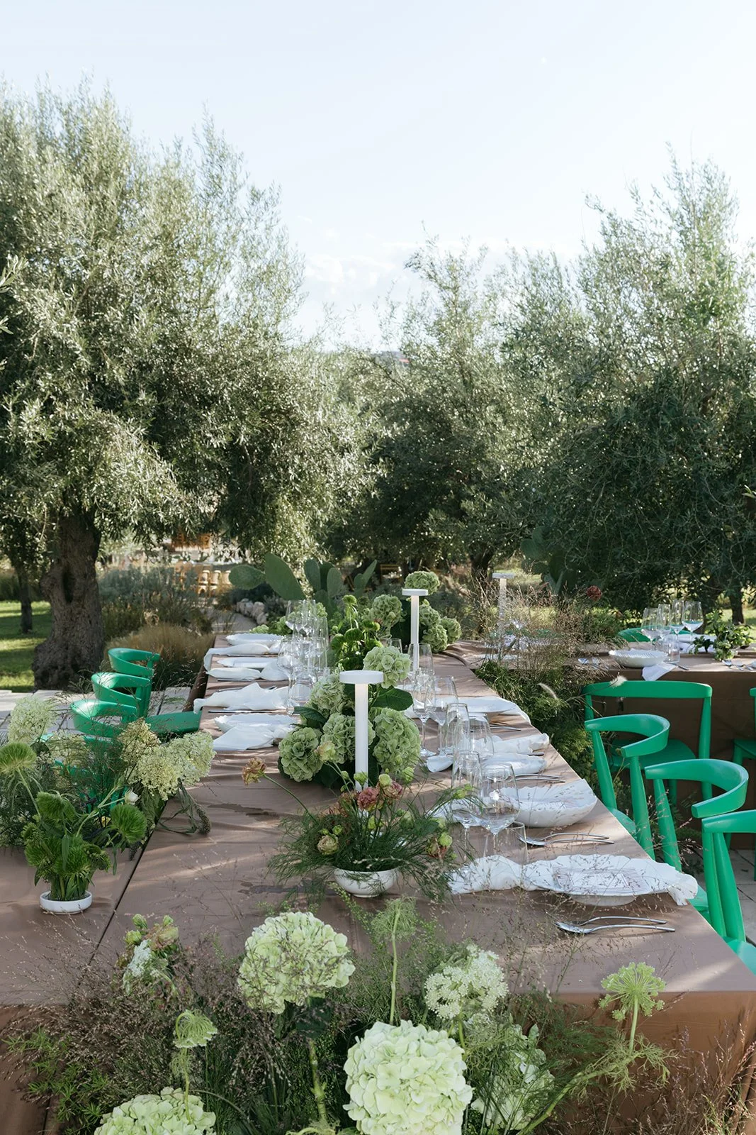 434 - Alex-Karsyn-Braccialieri-6463.jpg