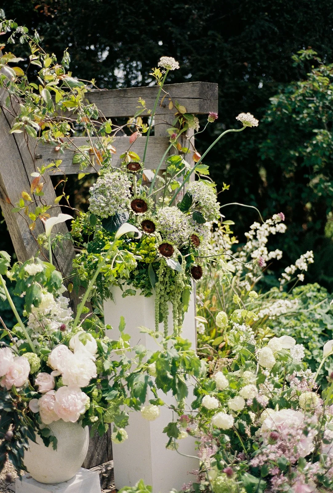 A&J_35mm_film_090526-4.jpg