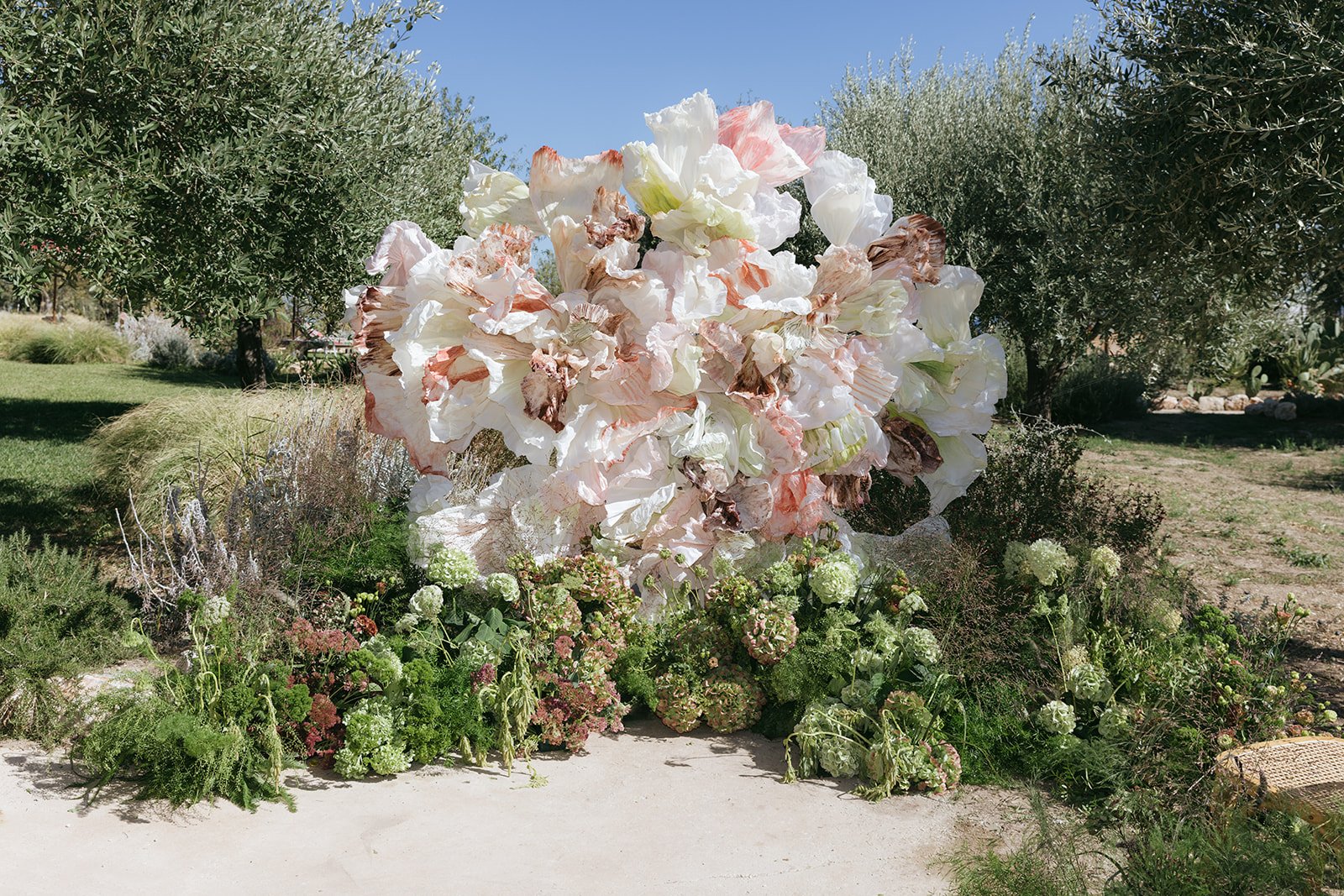 329 - Alex-Karsyn-Braccialieri-3904.jpg