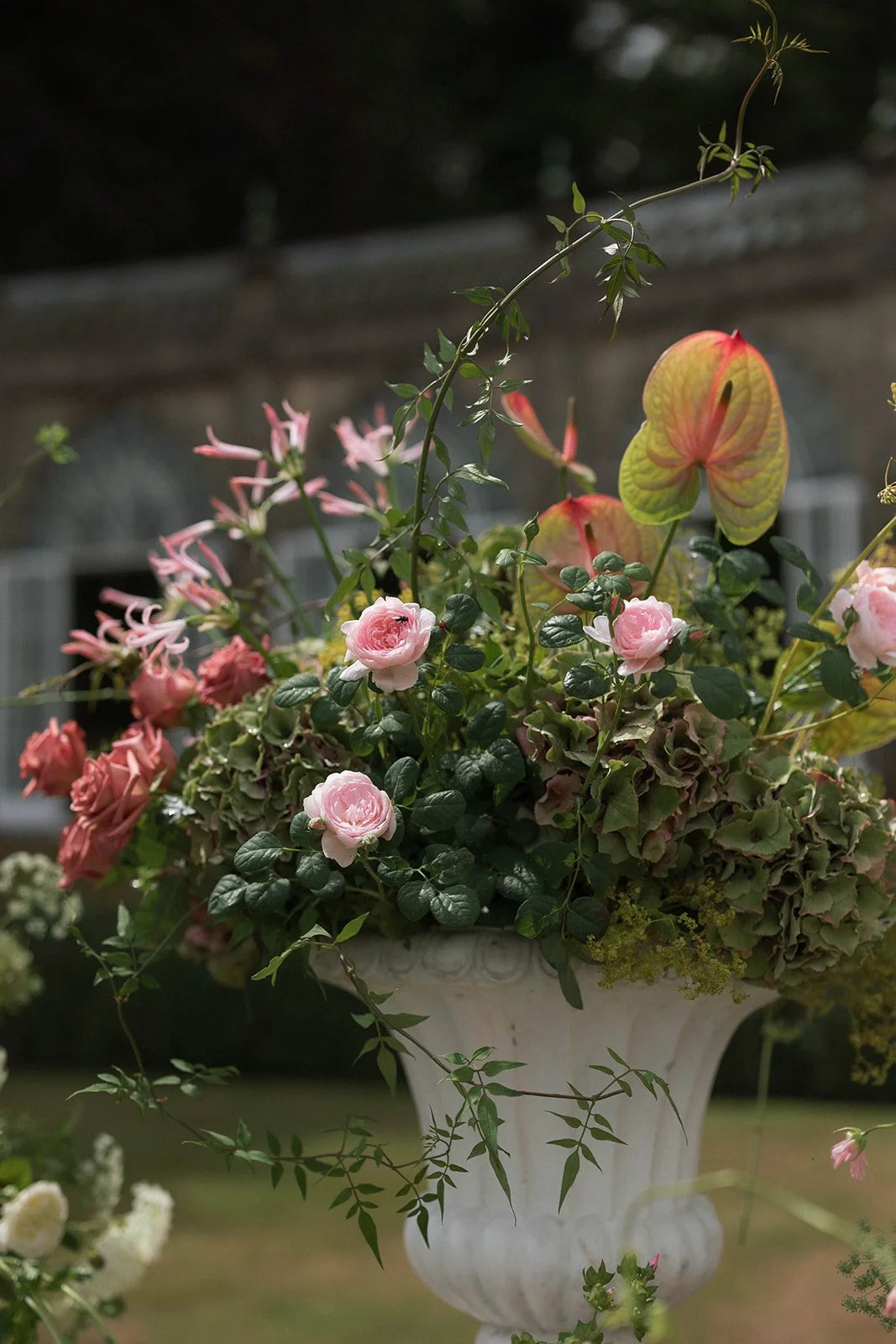 Sara and Janan_379.jpg