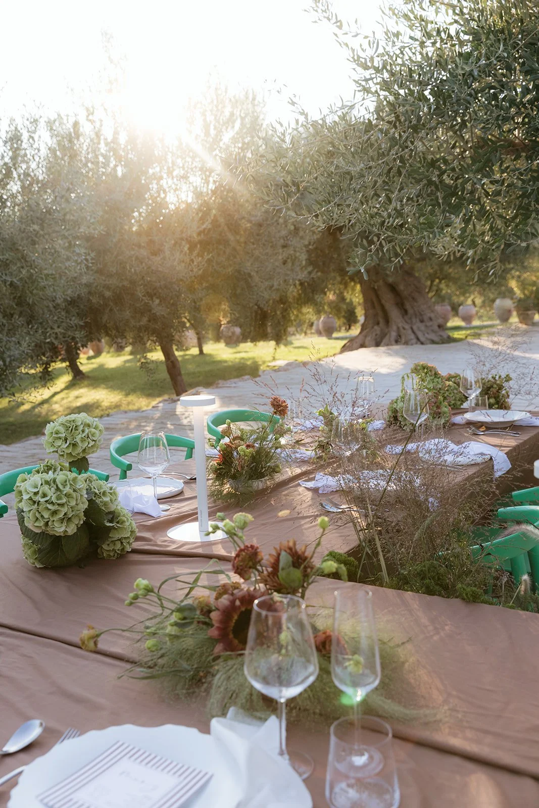 444 - Alex-Karsyn-Braccialieri-6904.jpg