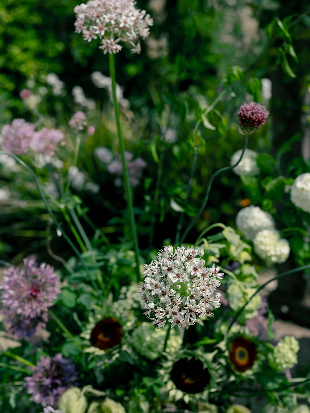 A&J_wedding_090526-44.jpg