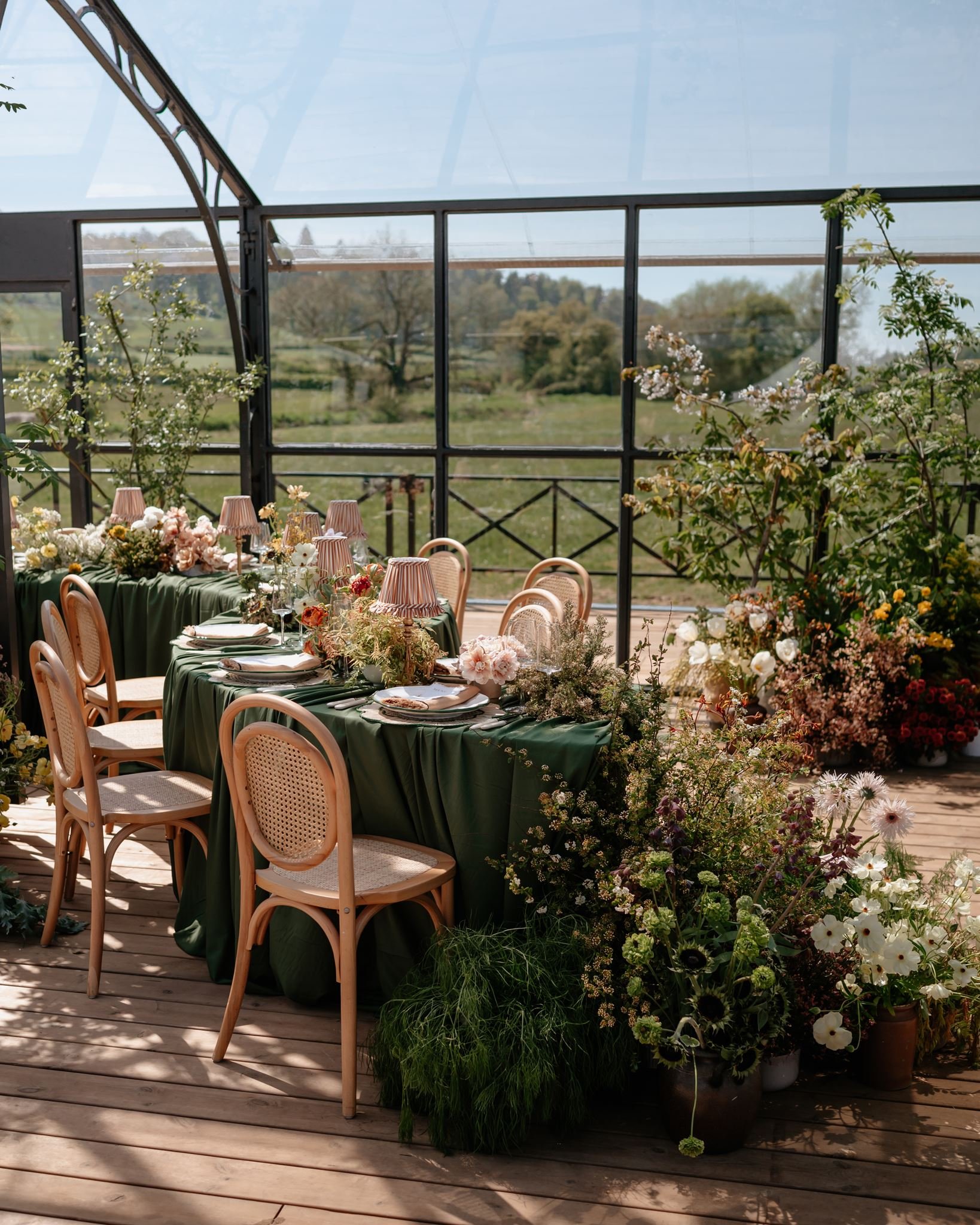 laura_martha_photography_minerva_vines_winery_wedding-57.jpg