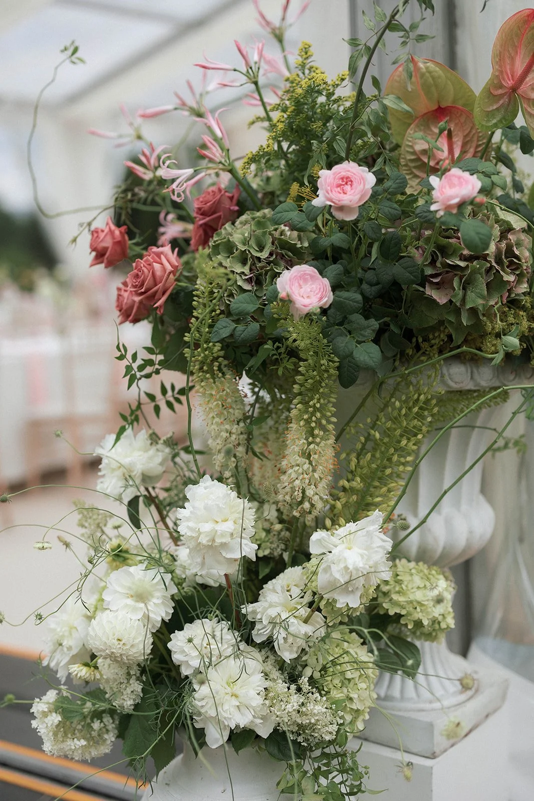 Sara and Janan_1001.jpg