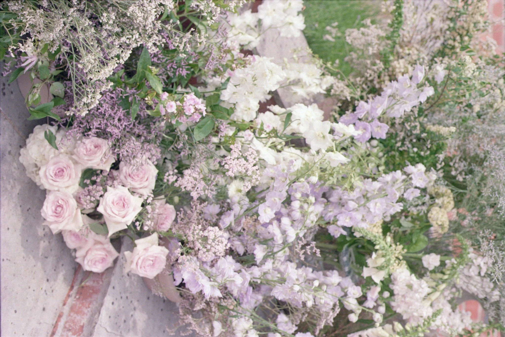 agnesblackltd12-346.jpg