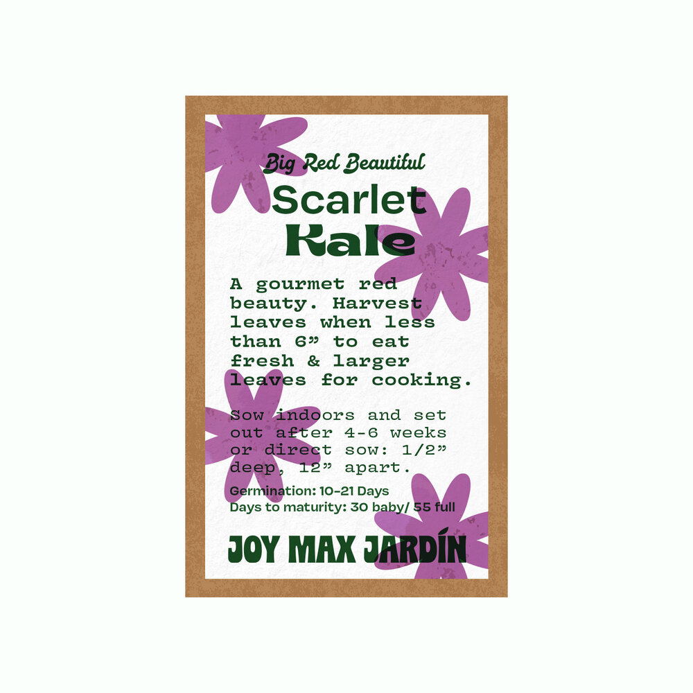 Joy Max Jardin Scarlet Kale Seed.jpg