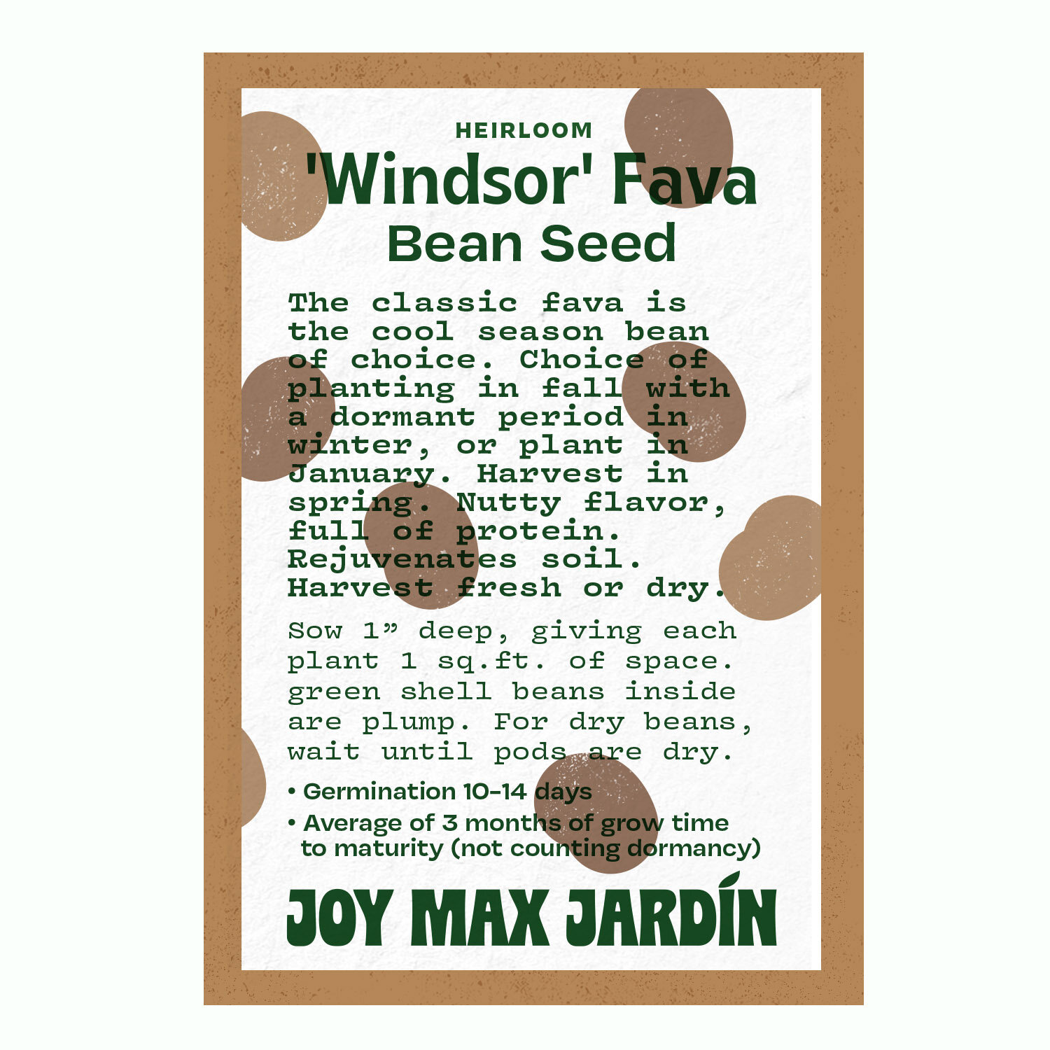 Joy Max Jardin Windsor Bean Seeds.jpg