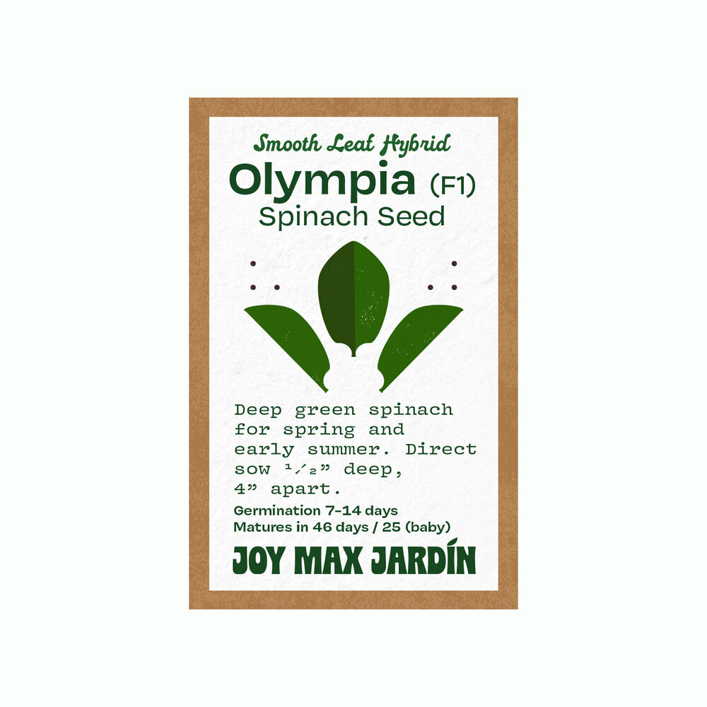 Joy Max Jardin Olympia Spinach Seed.jpg