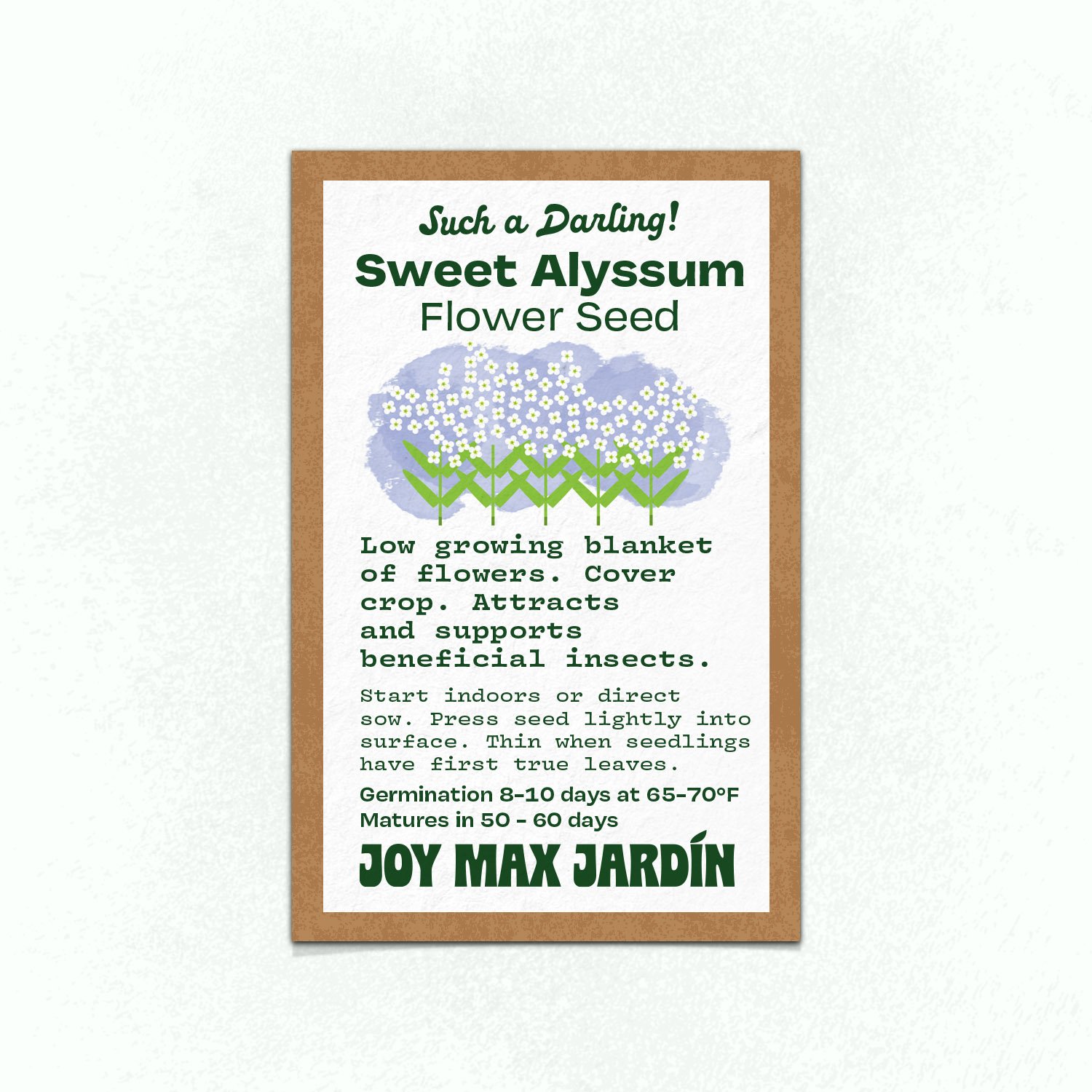 Joy Max Jardin Sweet Allysum Seed.jpg