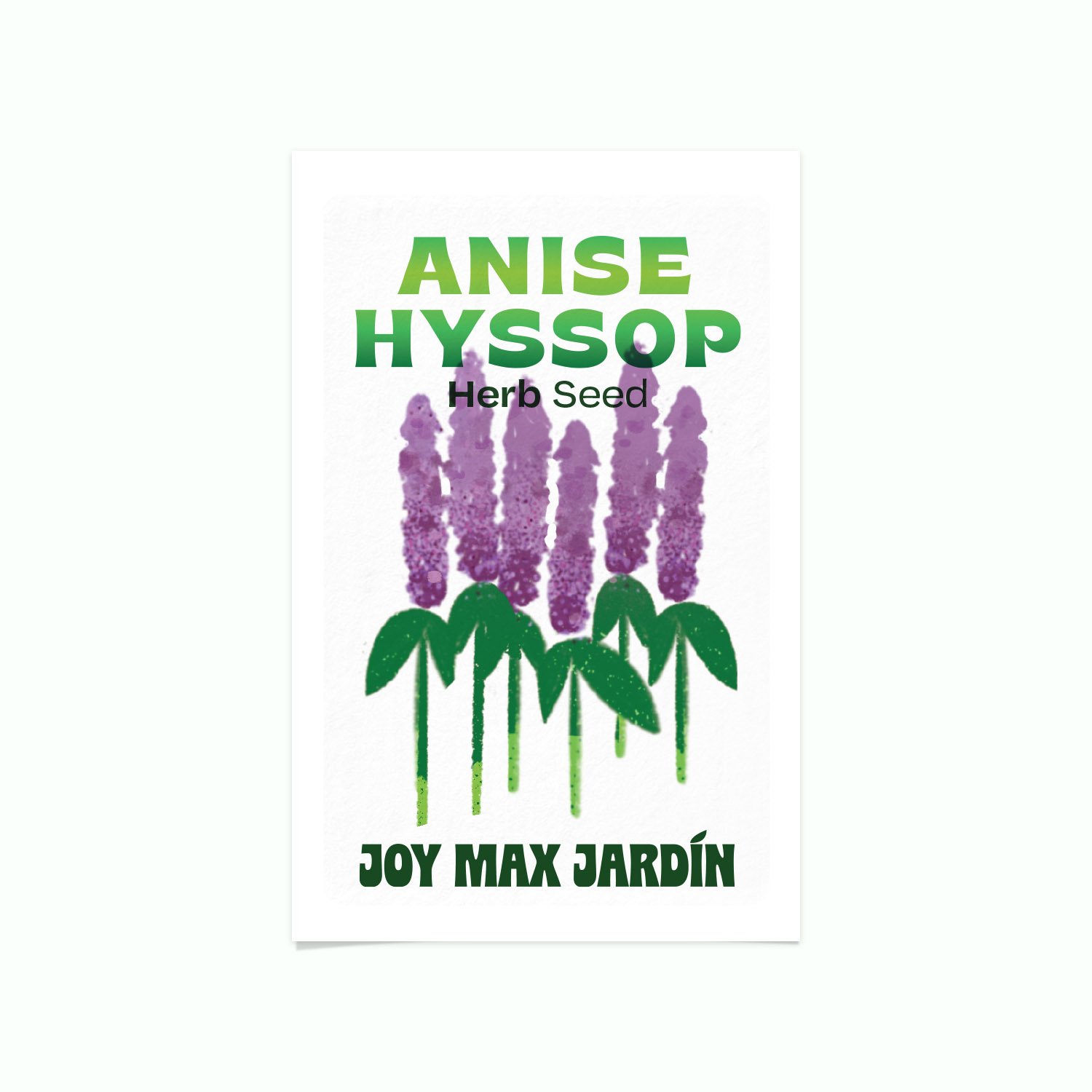Joy Max Jardin Anise Hyssop Seed.jpg
