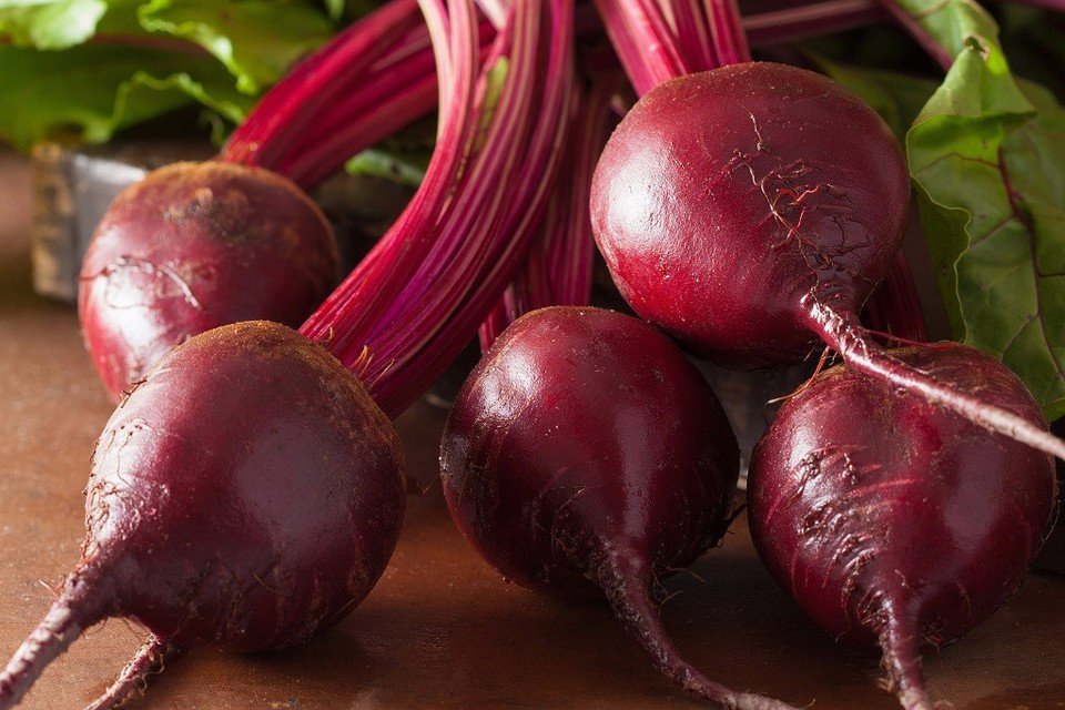 Beet-Bulls-Blood.jpg