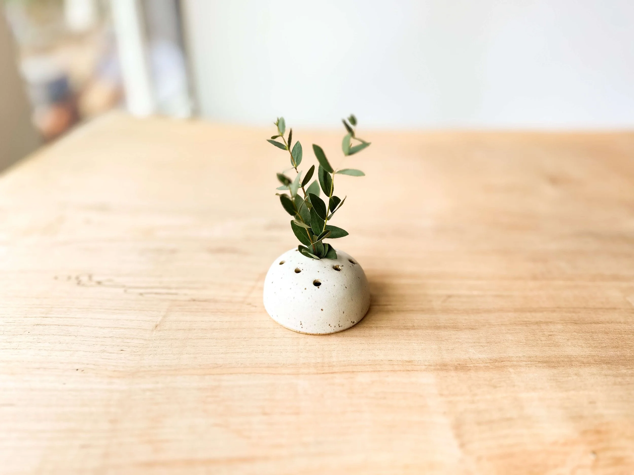 ikebana-frog-thumb-wide.jpg