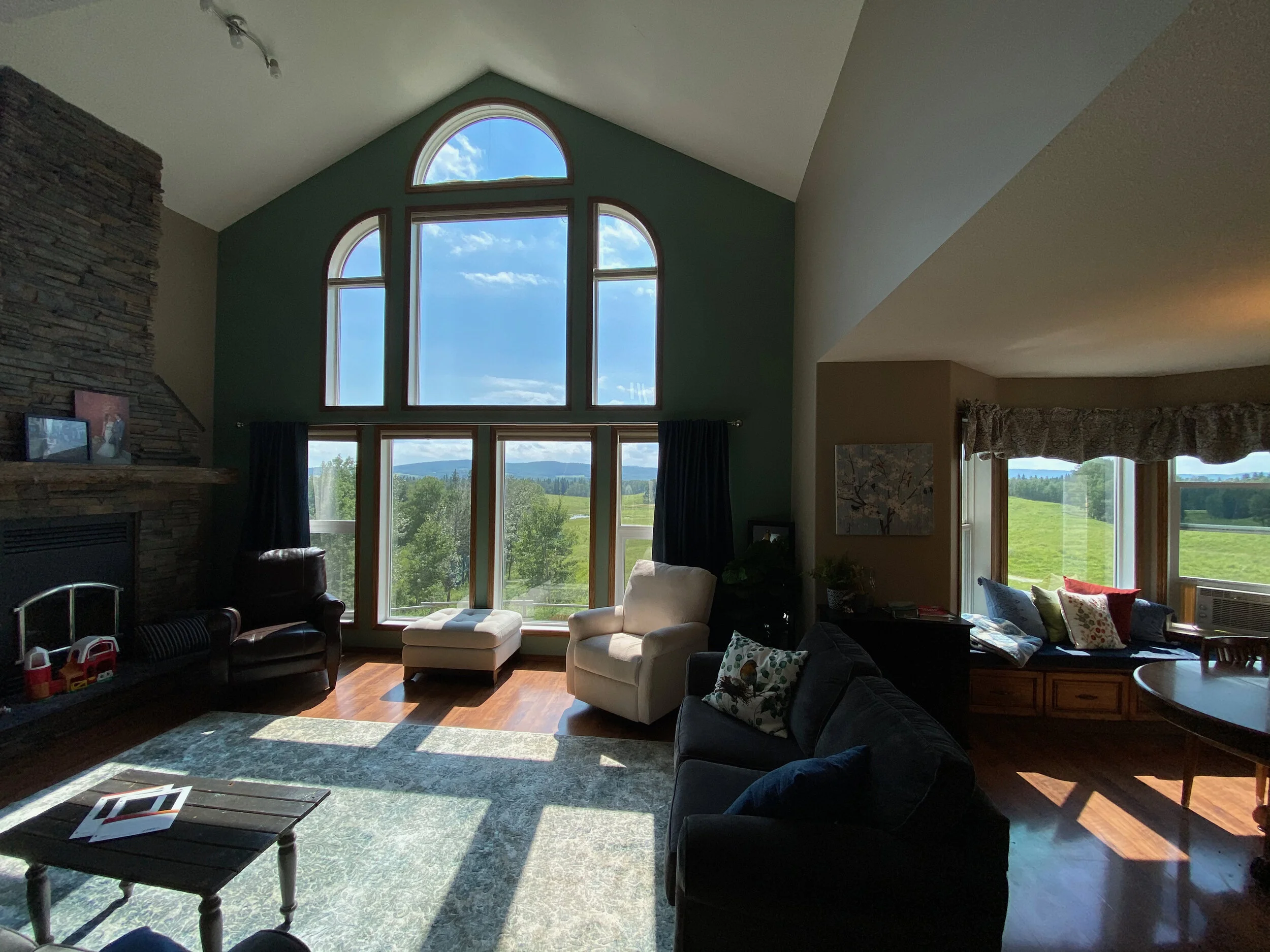 Vista V28 Upper windows and Vista V38 Lowers. Beautiful film to look through and keep all the windows open and the heat out!