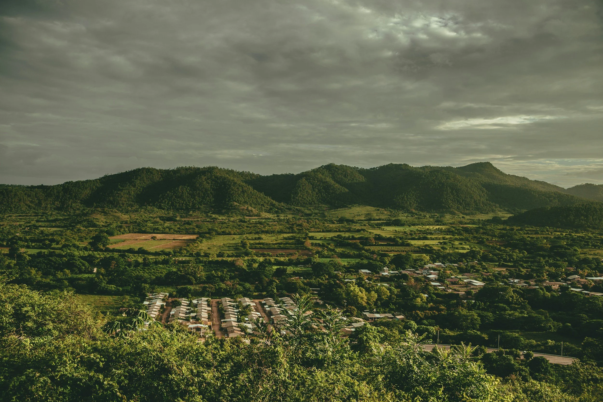 unsplash-image-MS9i0XVrV3Q.jpg