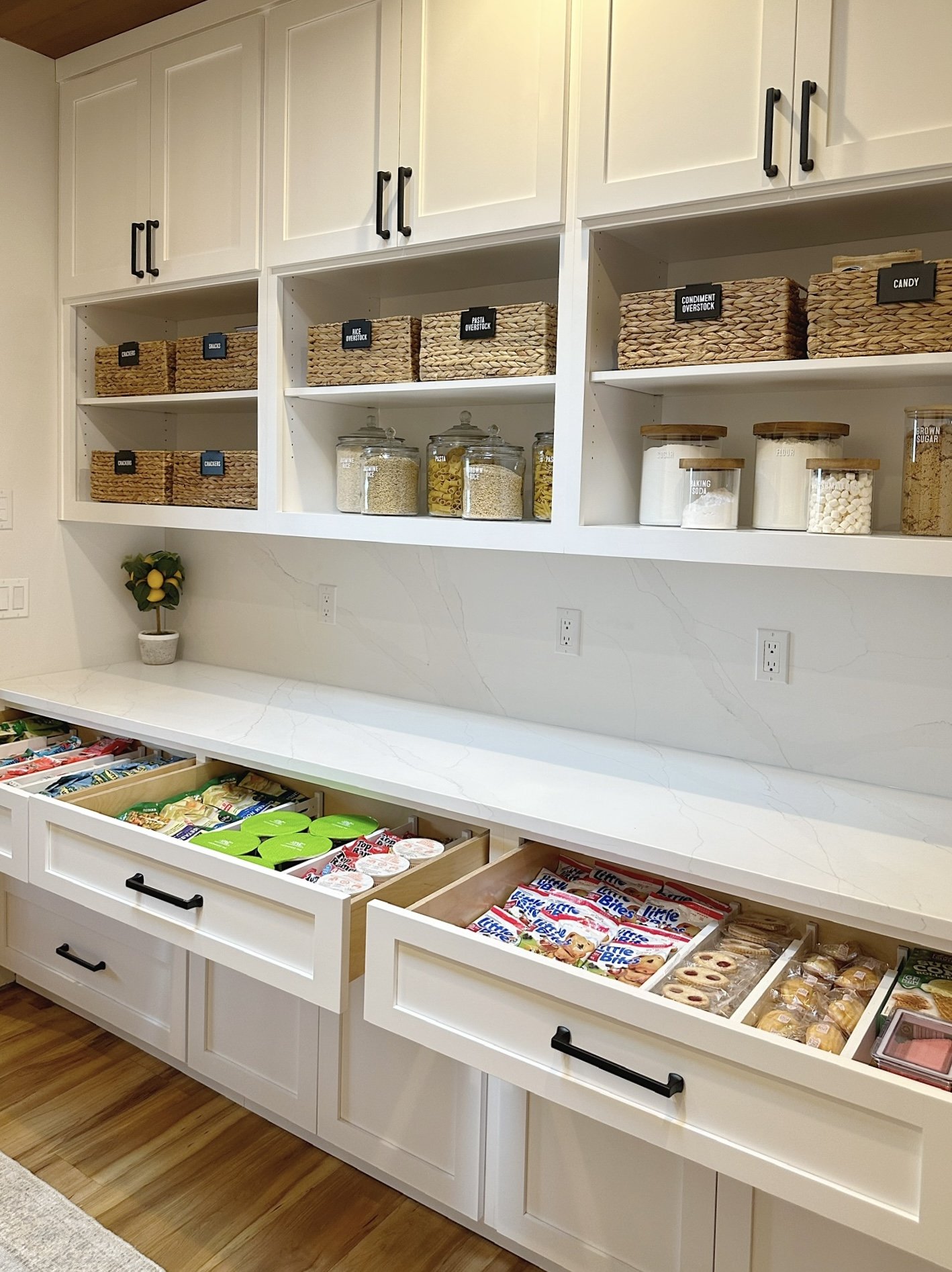 luxury professionally organized pantry