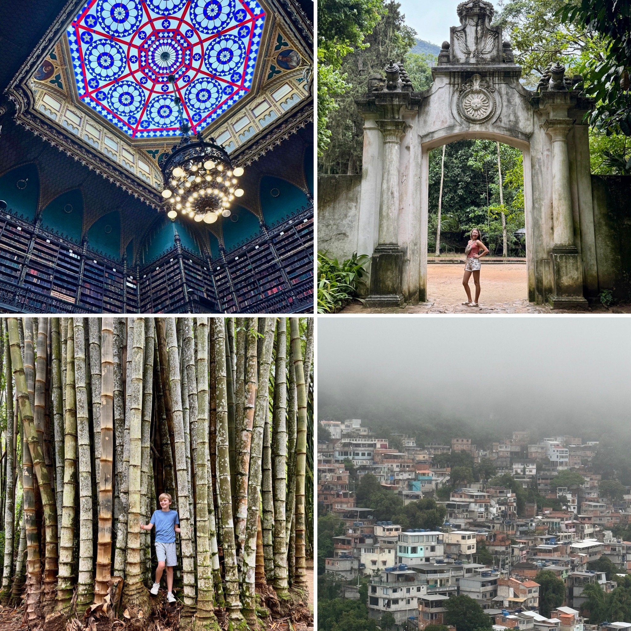 Two Weeks in Brazil: From Beaches to the Rainforest — The Orderly Space