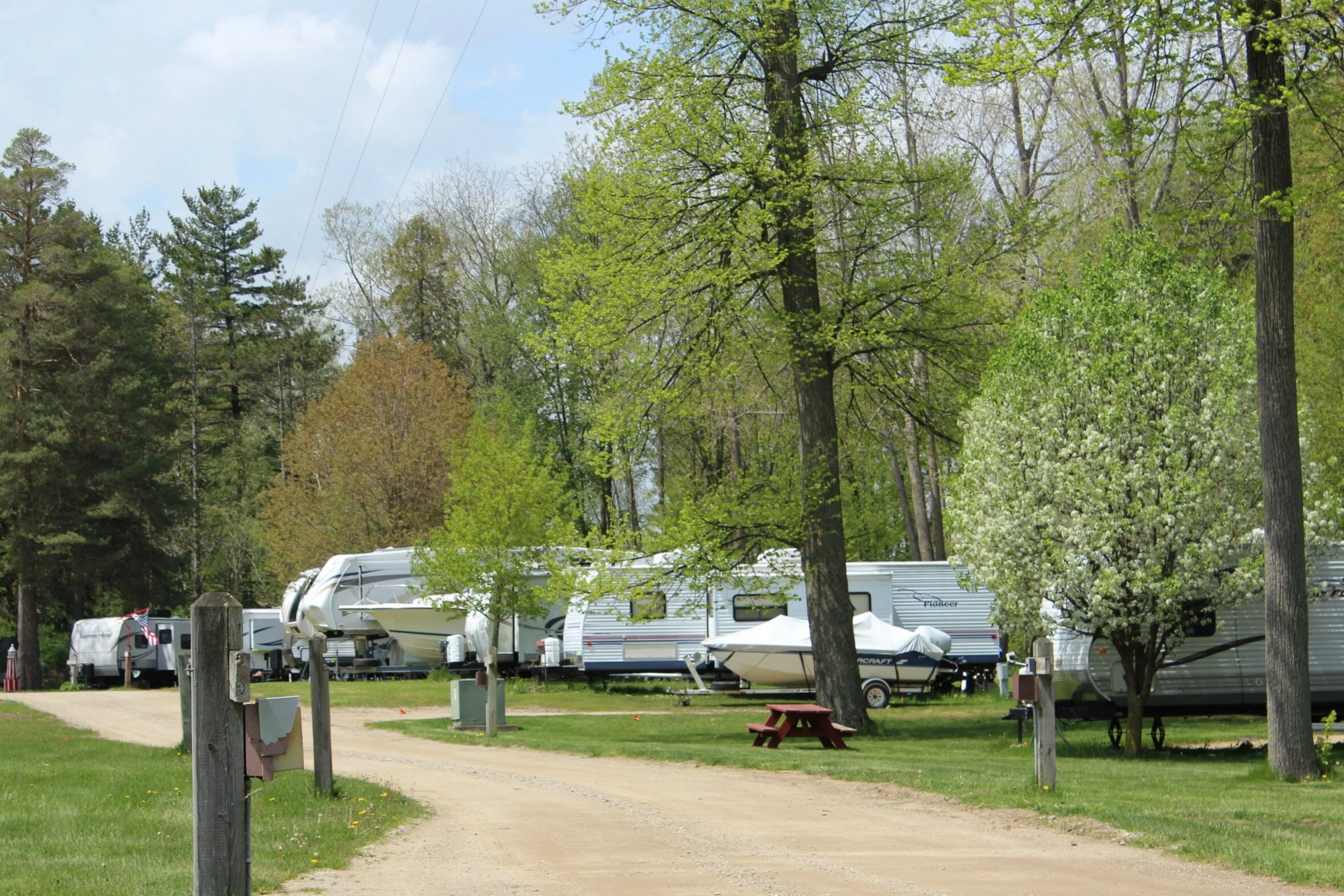 North Park Campground Go Camping America
