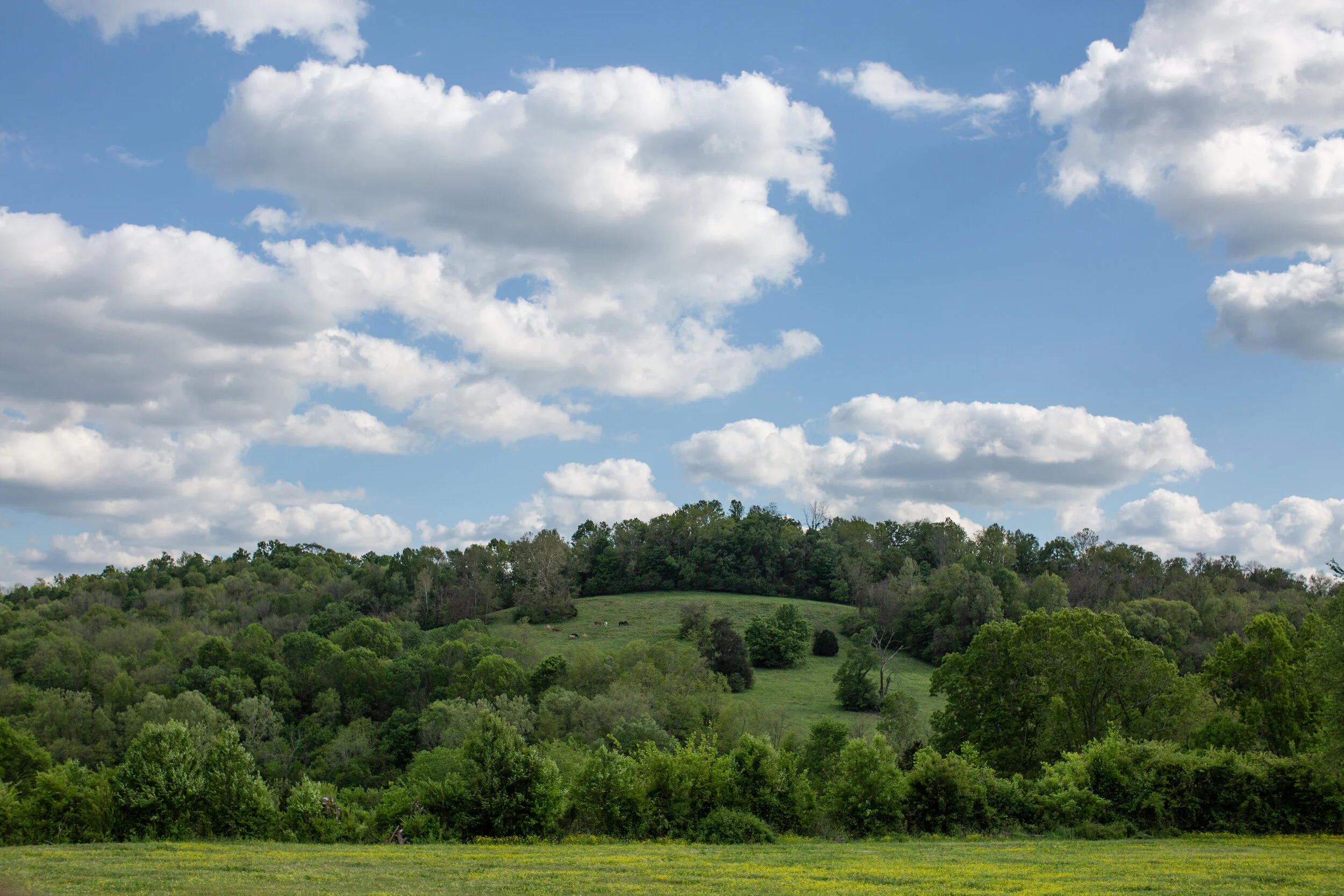 5D7B5653.jpg