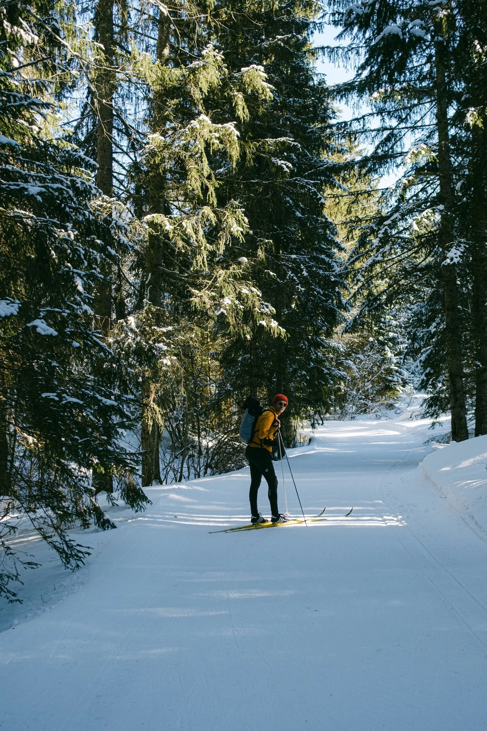 langlauf-02.jpg