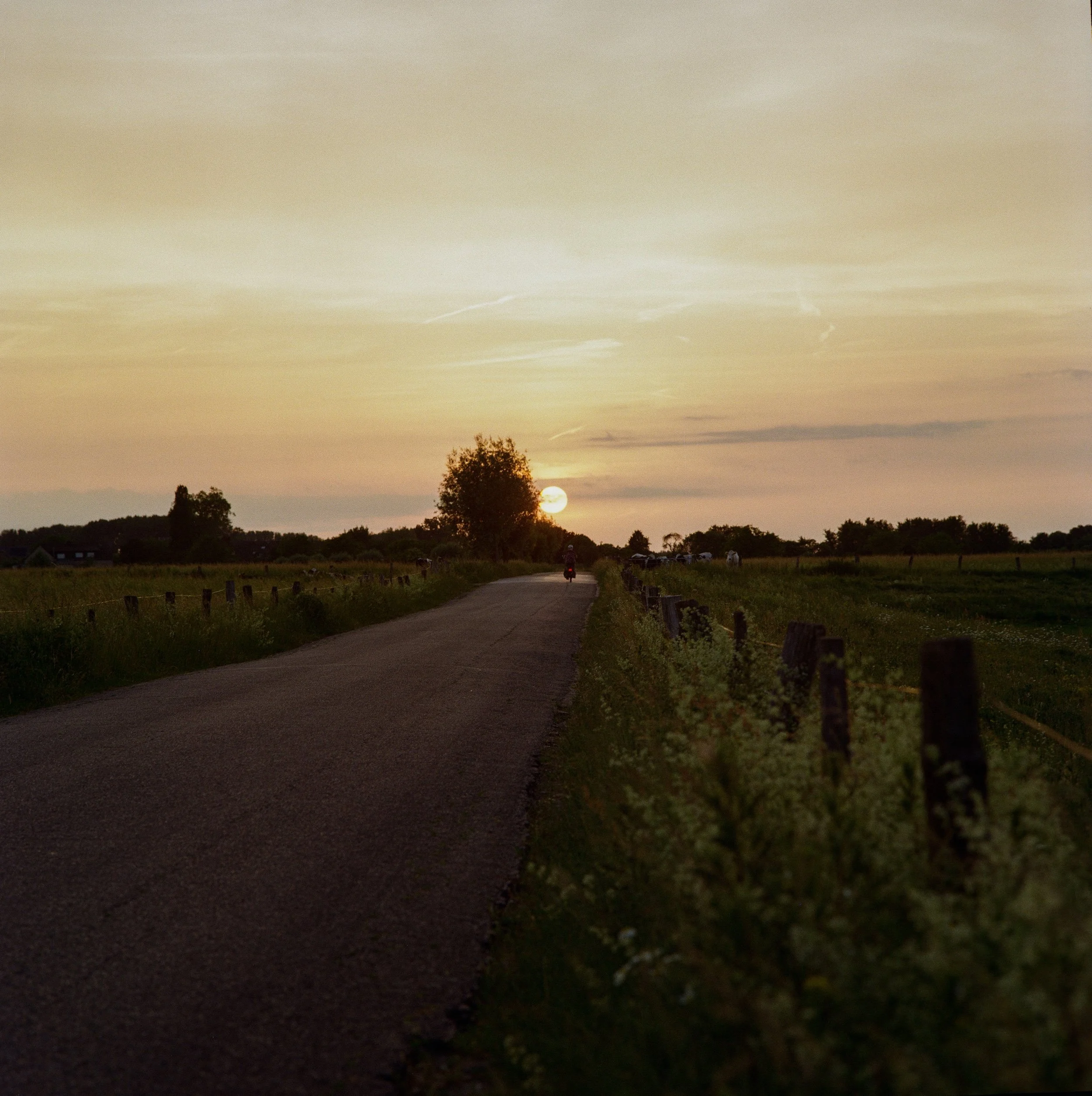 2605_Niederrhein_Look_ŁK-000094970010.jpg
