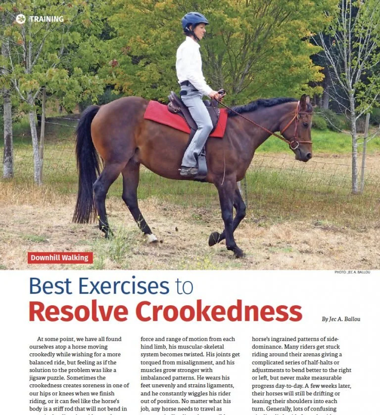 Article from the Canada Horse Journal — Jec Ballou Equine Fitness 