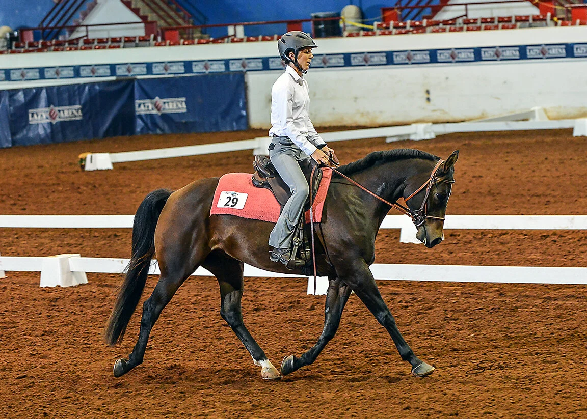 When Should You Post— or sit— the Trot?? — Jec Ballou Equine Fitness