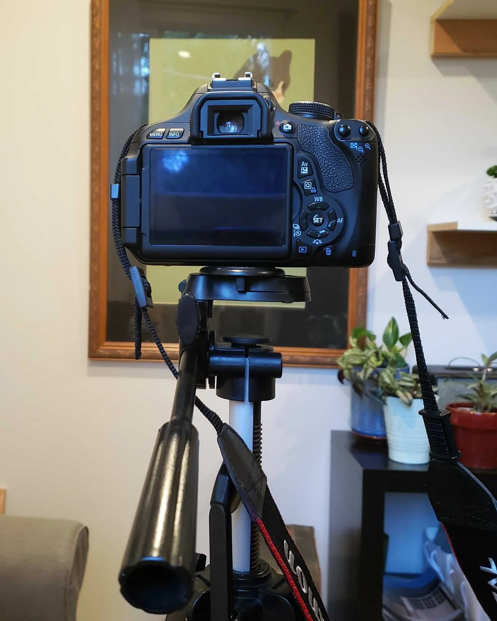 How to Document Your Artwork — Living Artists Collective