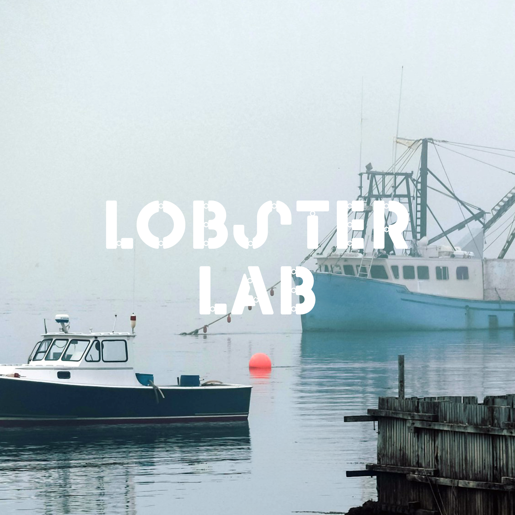 Lobster Lab