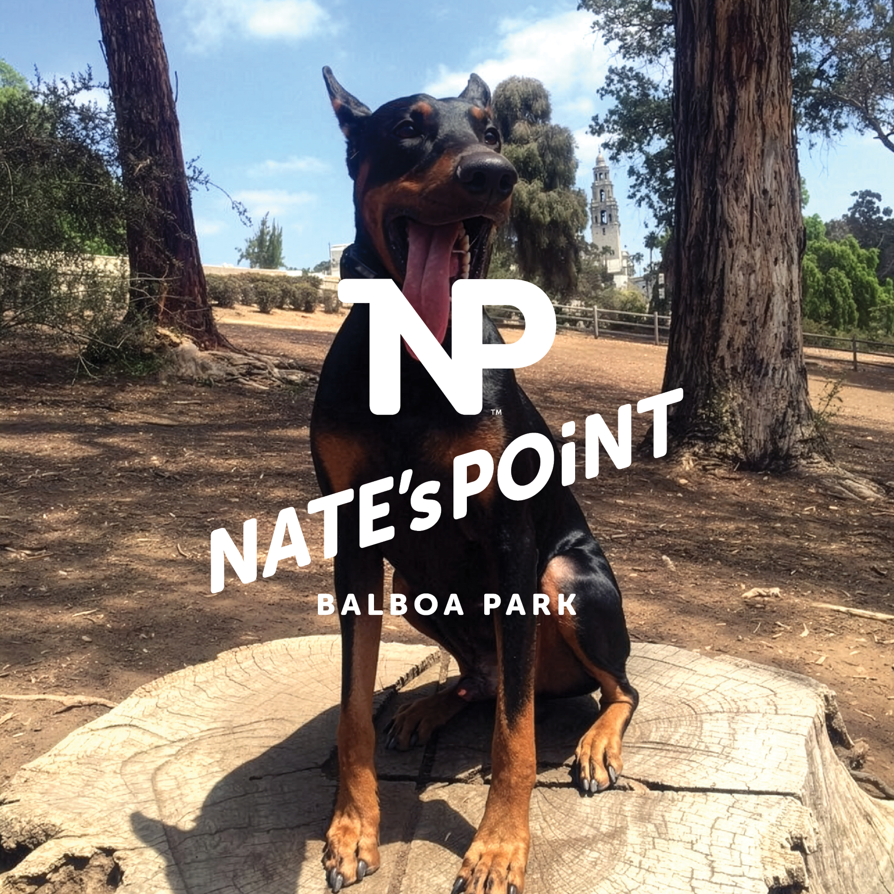 Nates Point