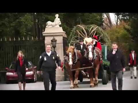Biltmore's Annual Tree Raising Event