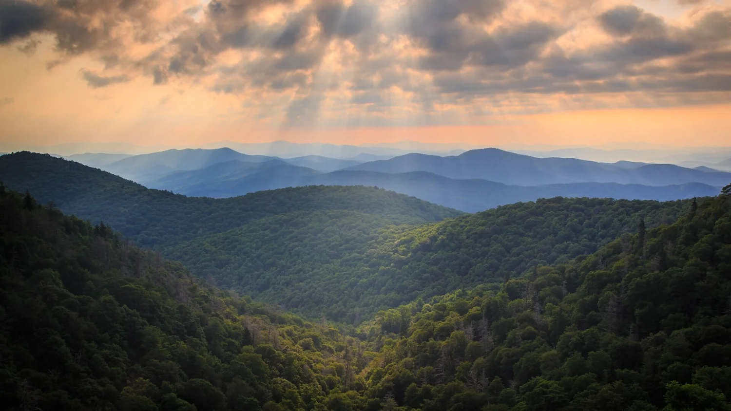 Zoom Backgrounds Amplified Media Video Production Asheville Live Streaming Virtual Events Asheville