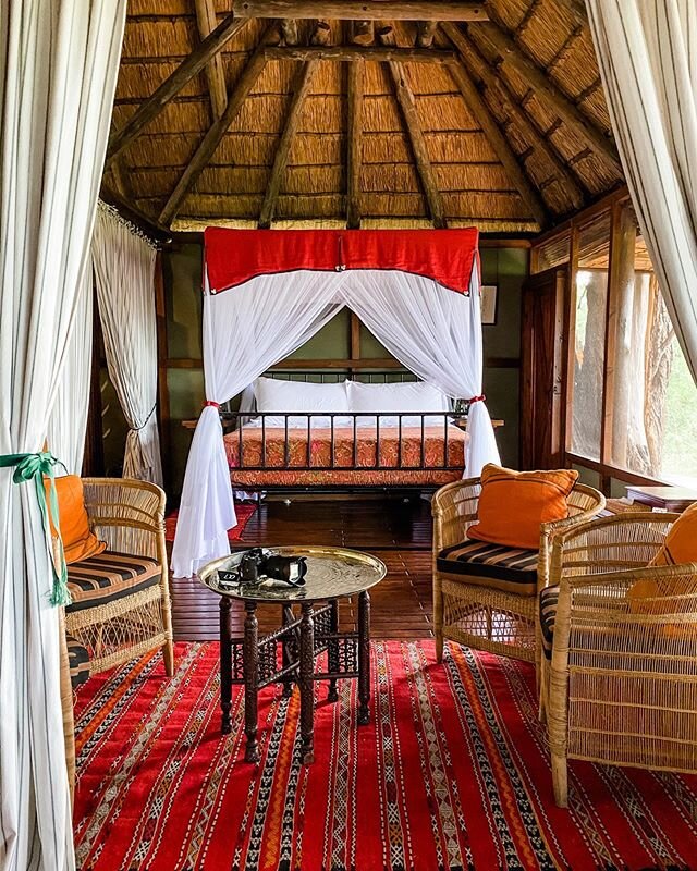 Sleeping next to hippos 😍 .
.
.
.
.

#roomwithaview #hotels 
#girlswander #traveler #aroundtheworld #gotravel #goexplore #wanderlust #explorewithme #letsgoeverywhere #outdoorwomen #travelingoften #dametraveler
#dirtybootstravel #girlaroundtheworld #