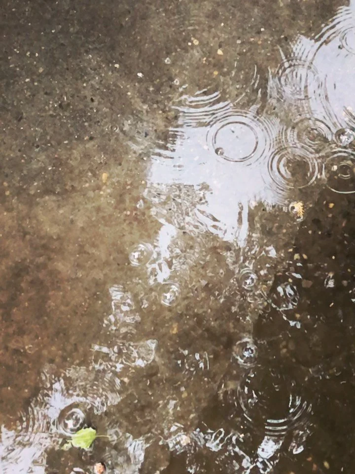 We haven’t been able to irrigate for several weeks. Super thankful to the Lord for today’s rain. Praying for more.