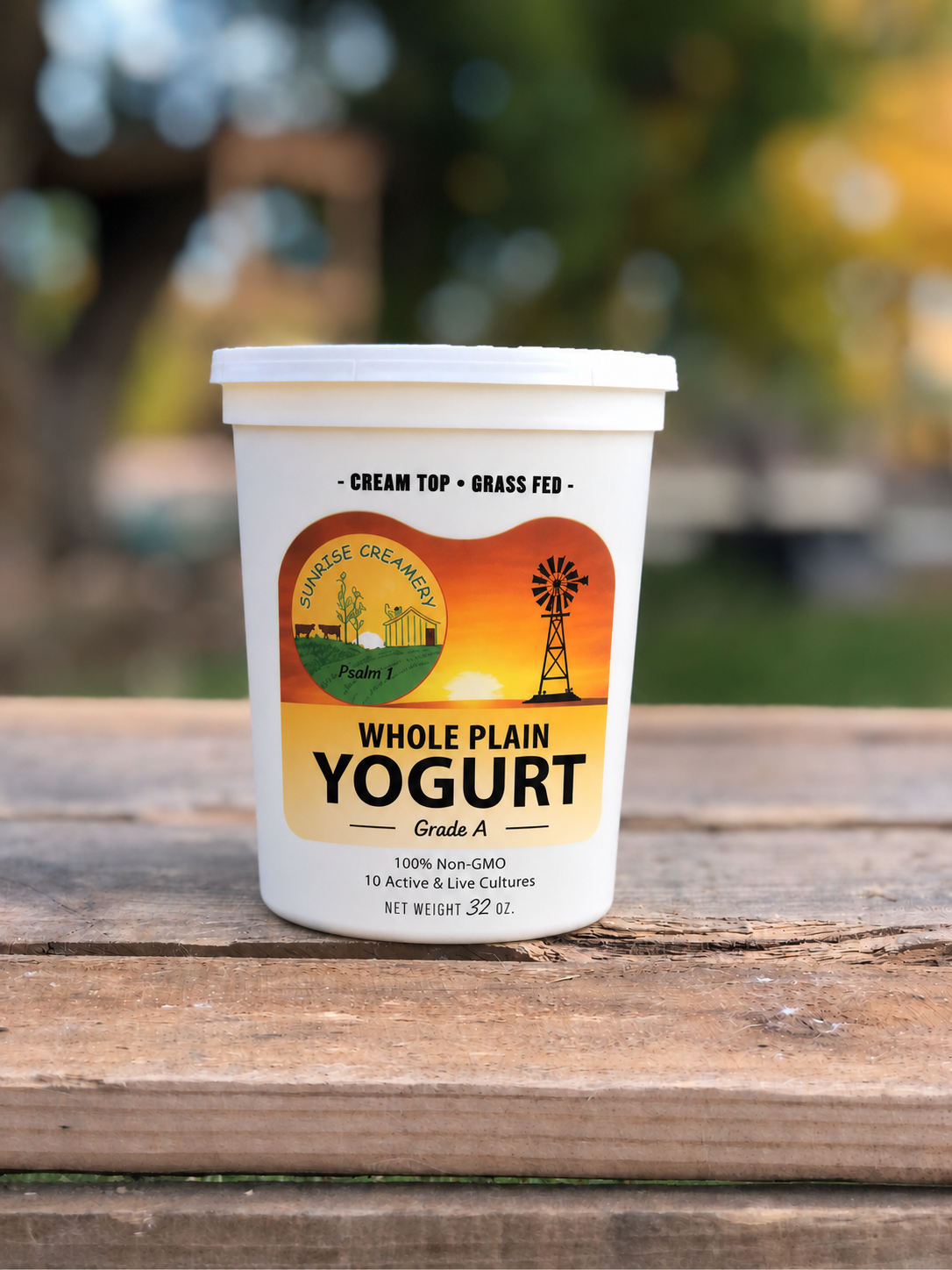 Sunrise Creamery Yogurt.png