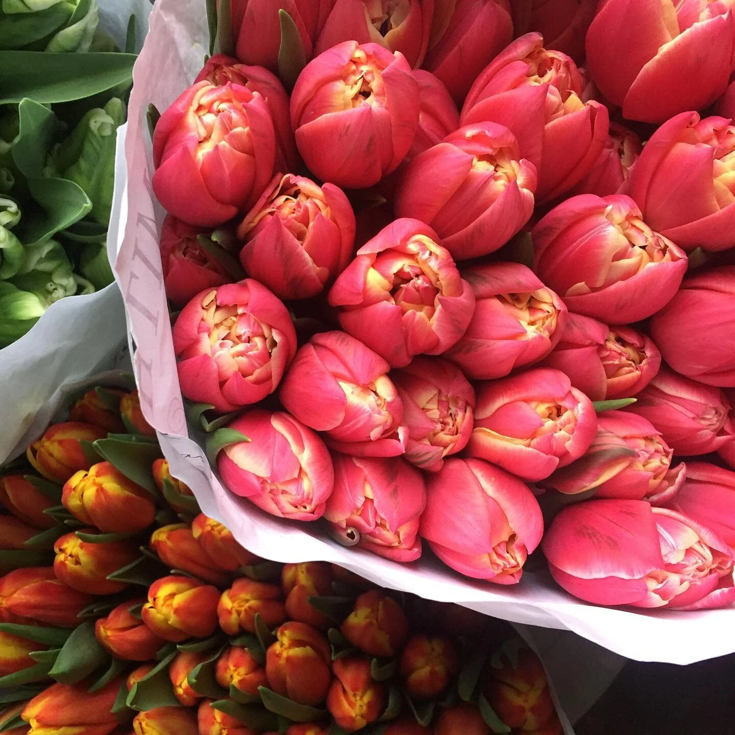 The Carbon Footprint of Flowers 