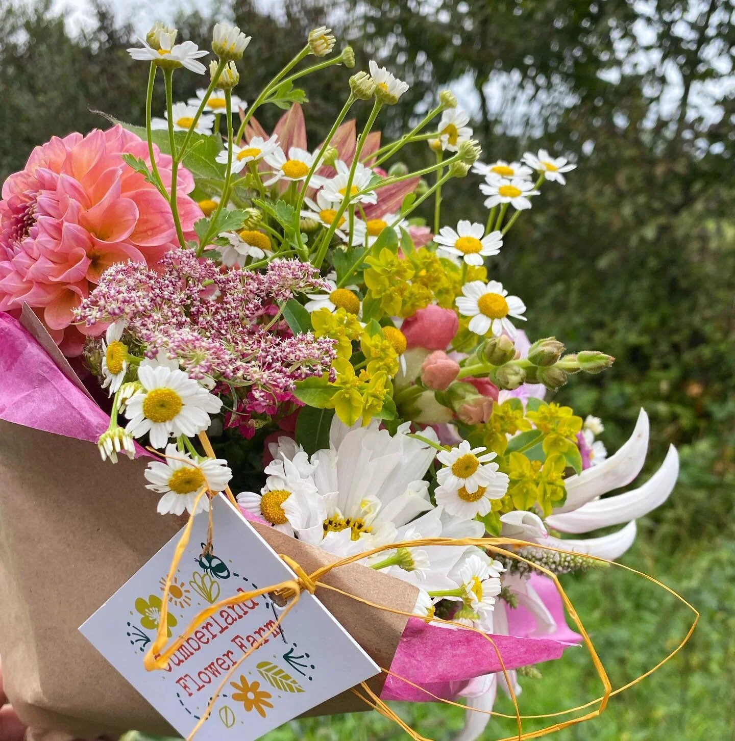 Caring for your bouquets