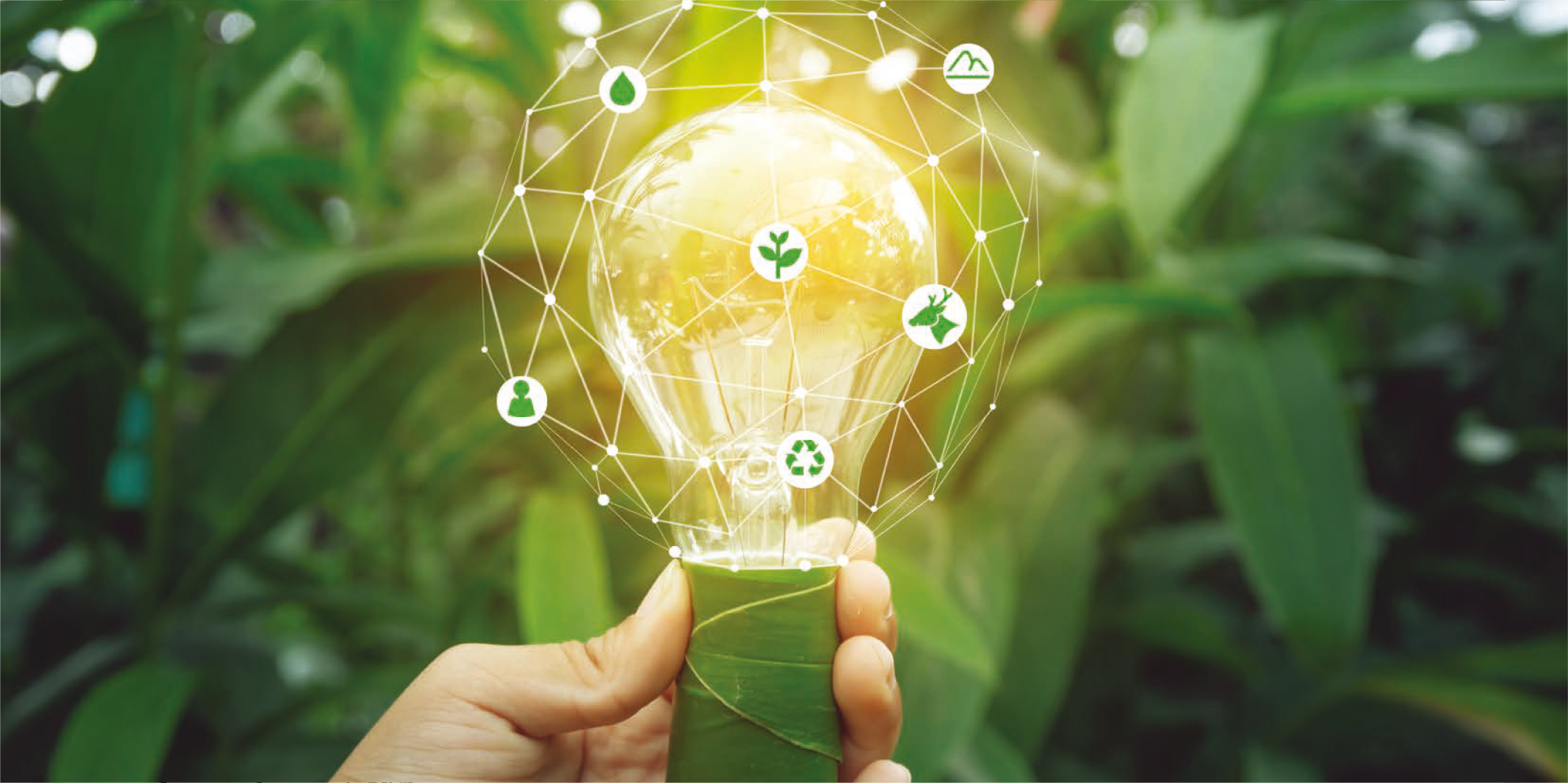 Eco-Innovation with Cumbria University