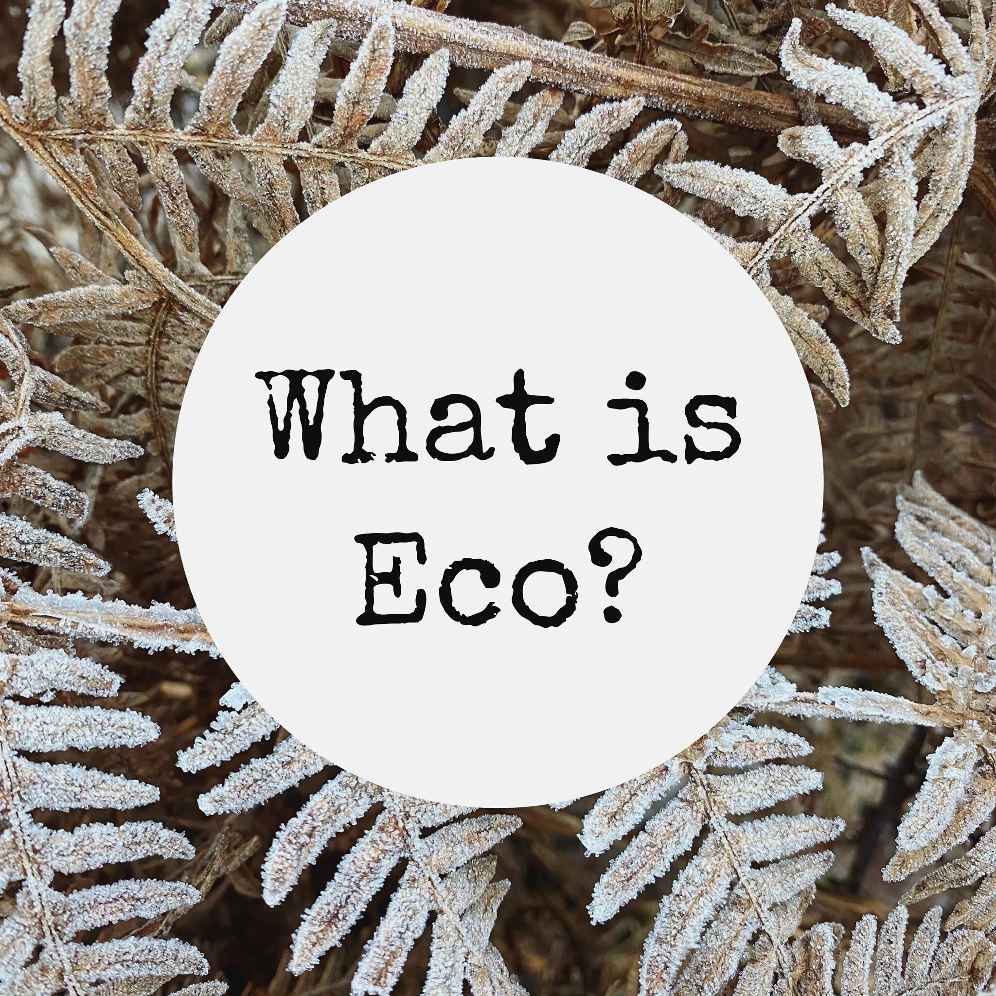 What is ‘Eco’?