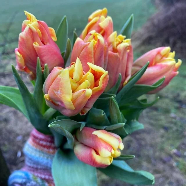 Are these eco?
