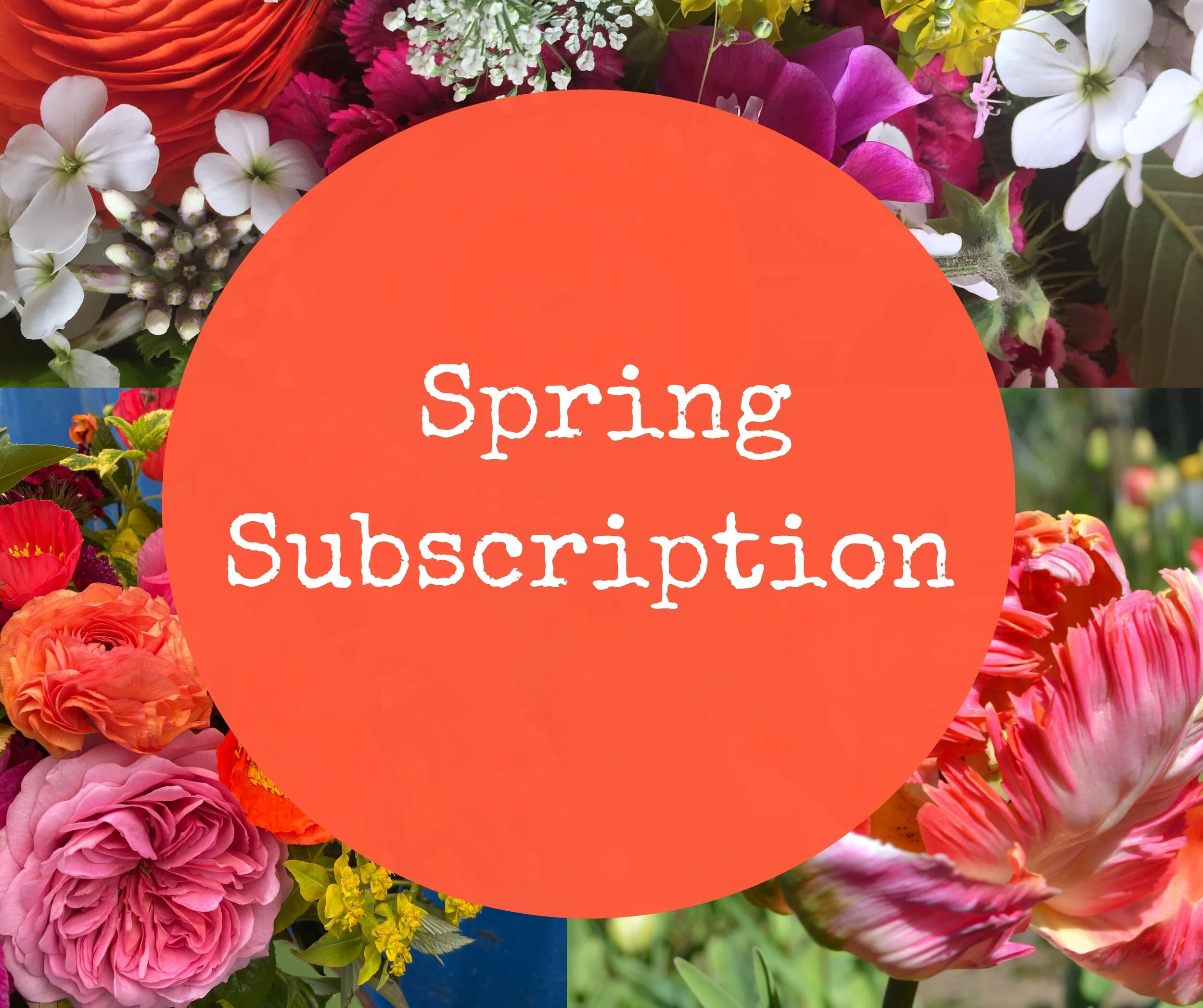 Flower Subscriptions are back