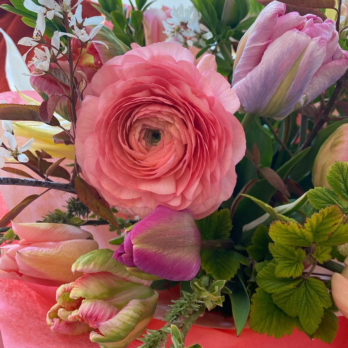 Happy Sunny Sunday!