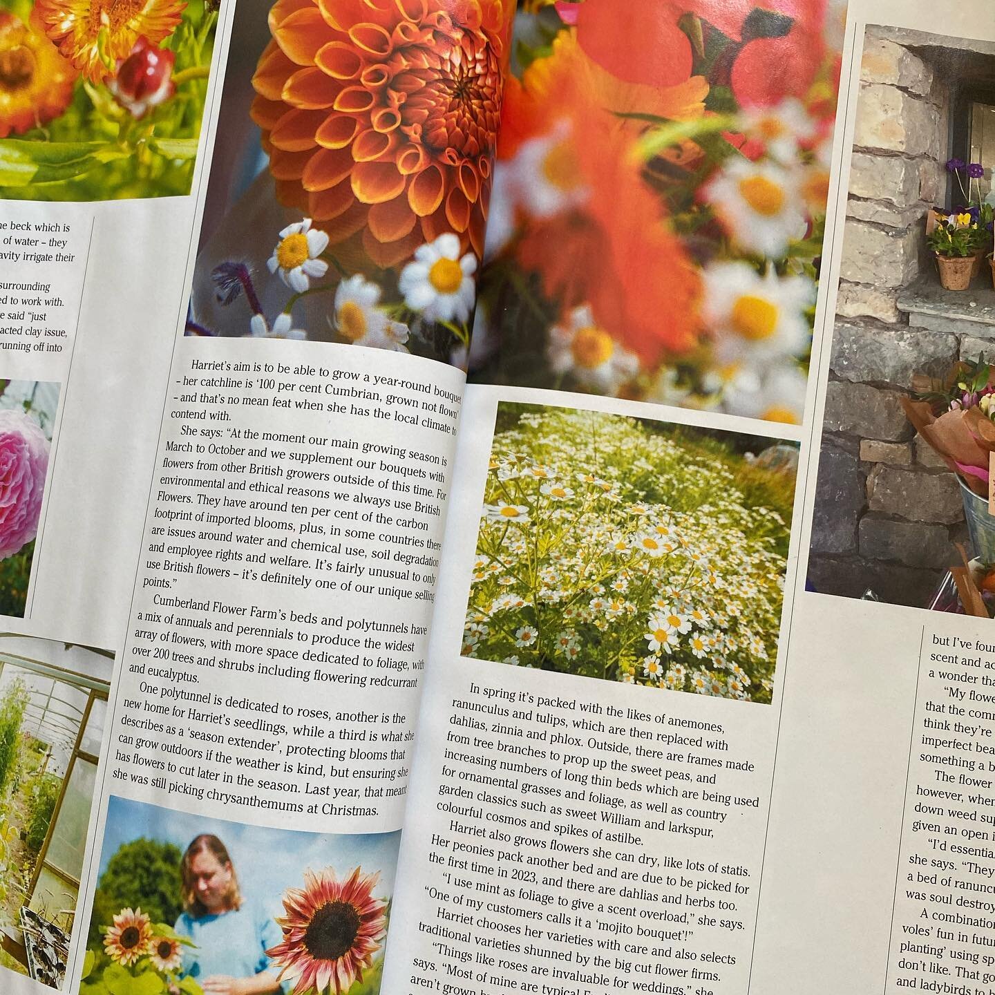 We're in Cumbria Life Magazine!