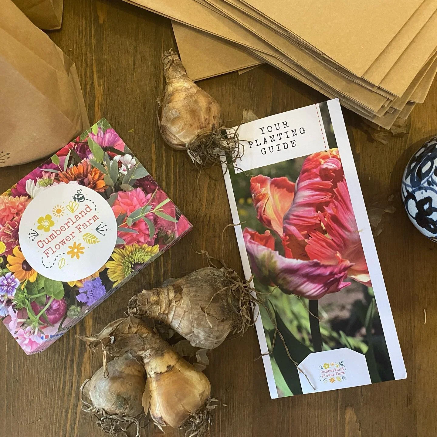 Our Spring Bulb Boxes are Back!
