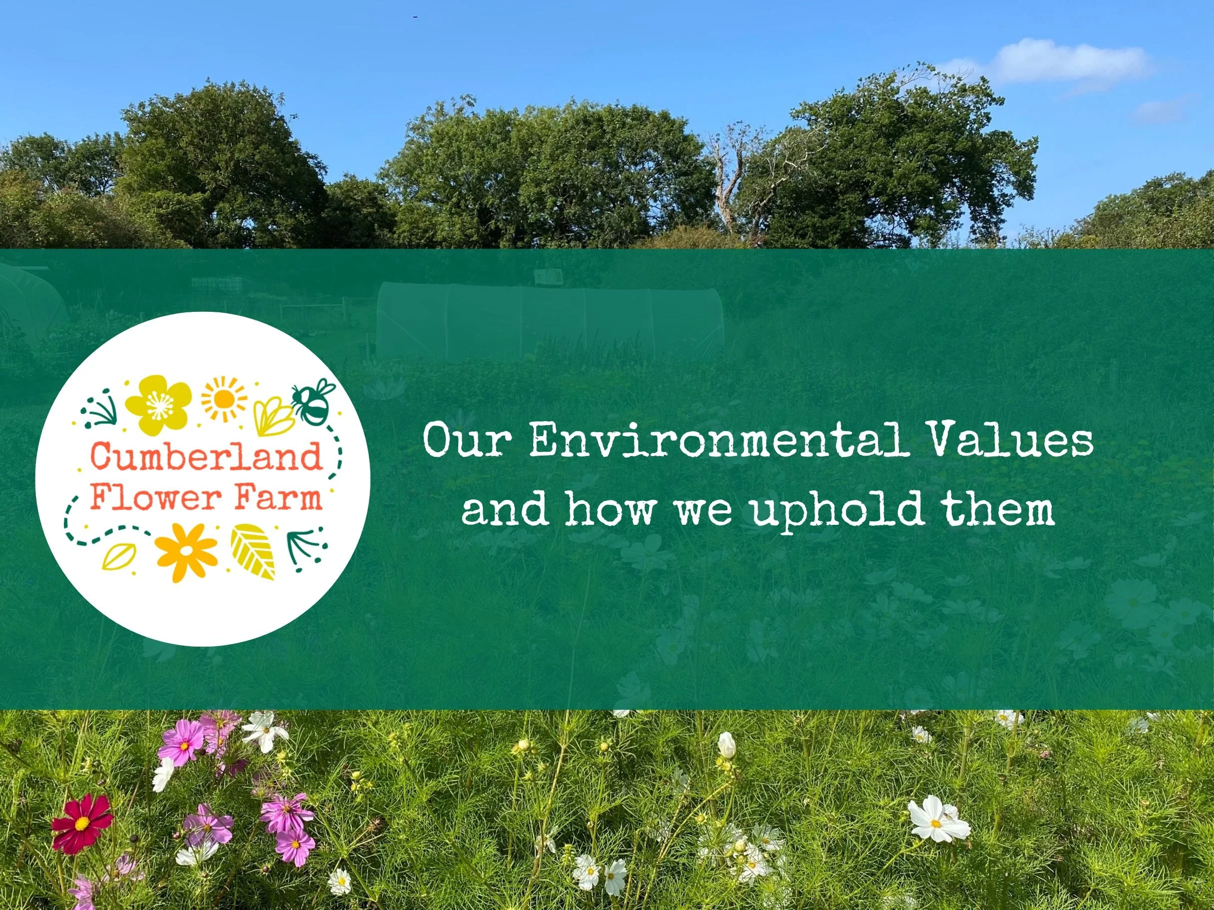 Our Environmental Values
