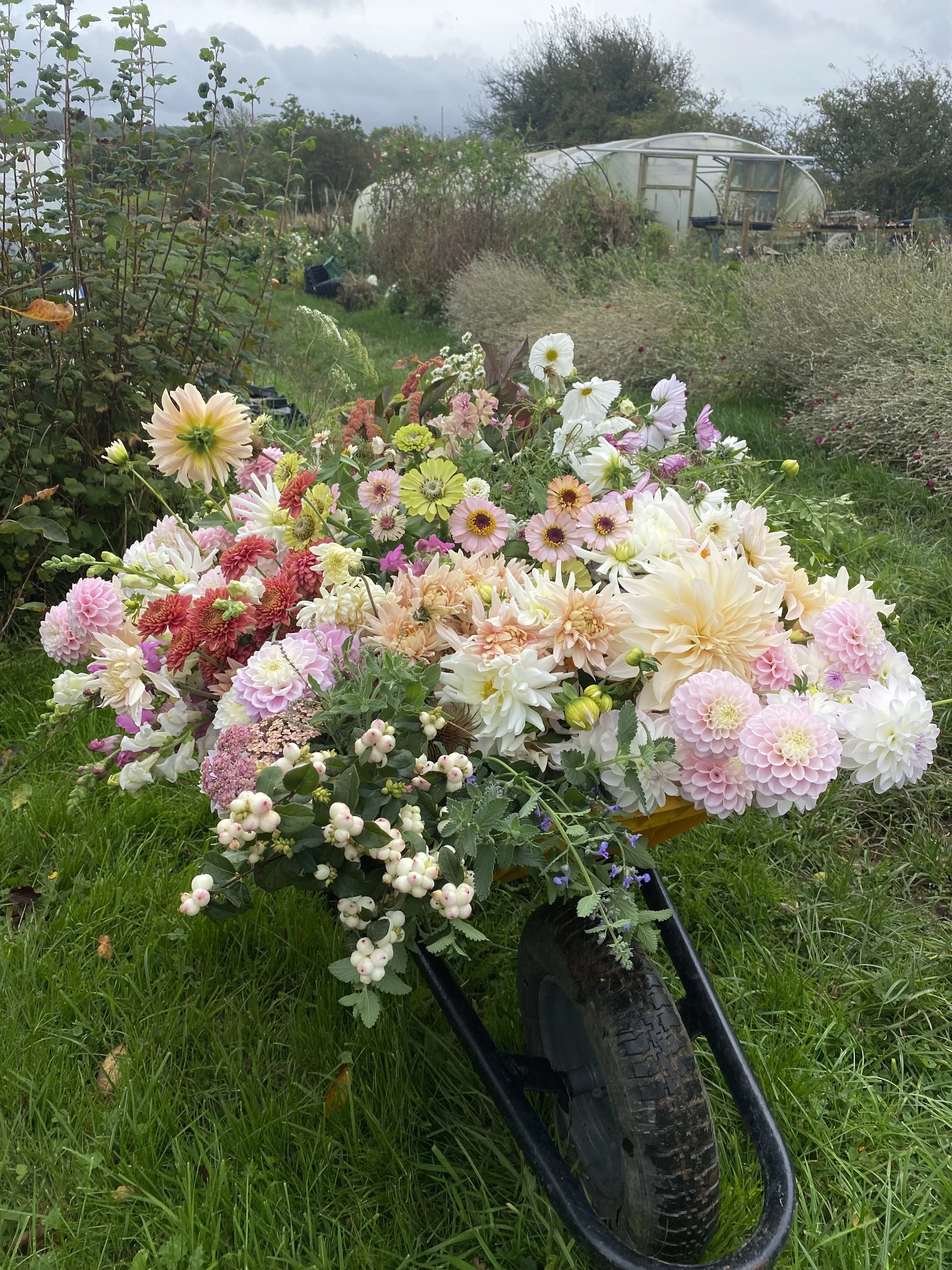 Wedding Flowers at field.jpg