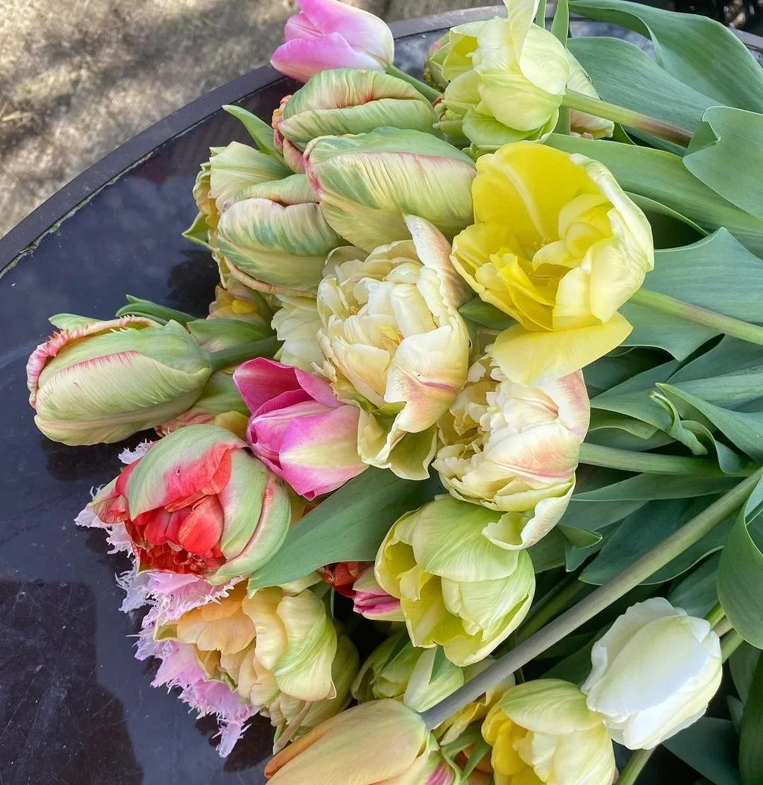 Sustainability and Tulips