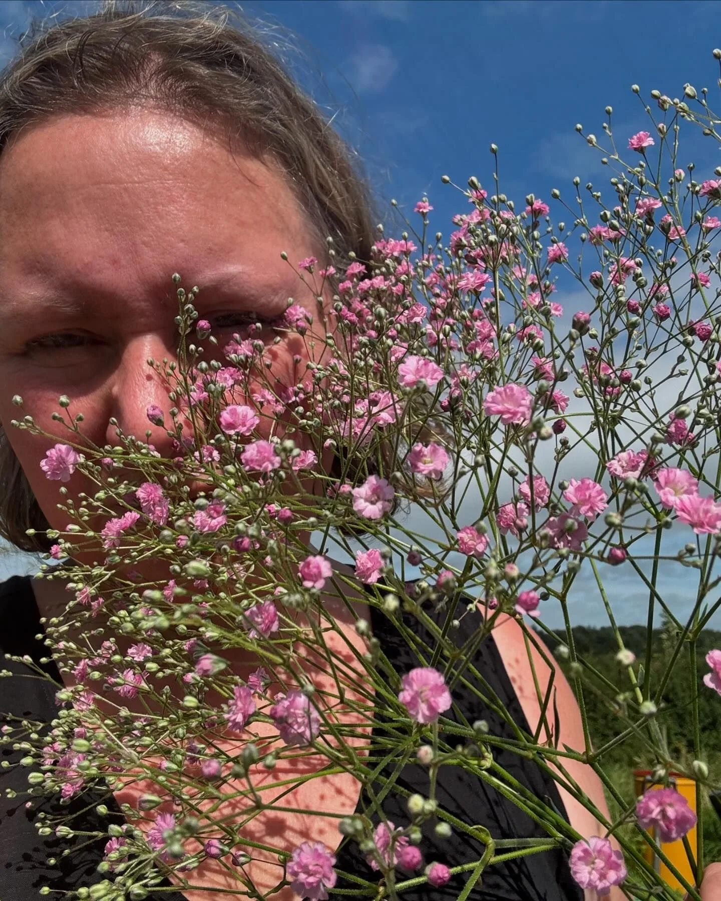 Homegrown Gypsophila