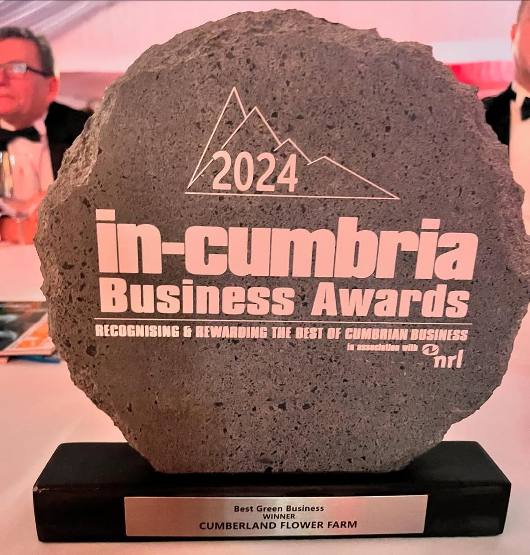 We’re an in-Cumbria Business Award winner!