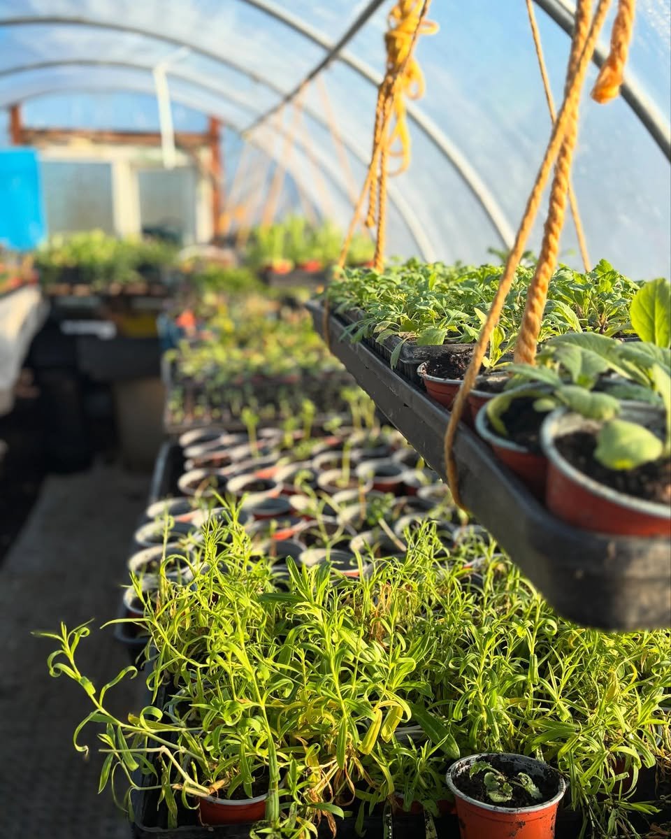 February in the Field